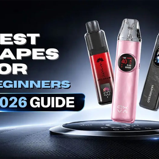 Best Vapes For Beginners 2026 Guide